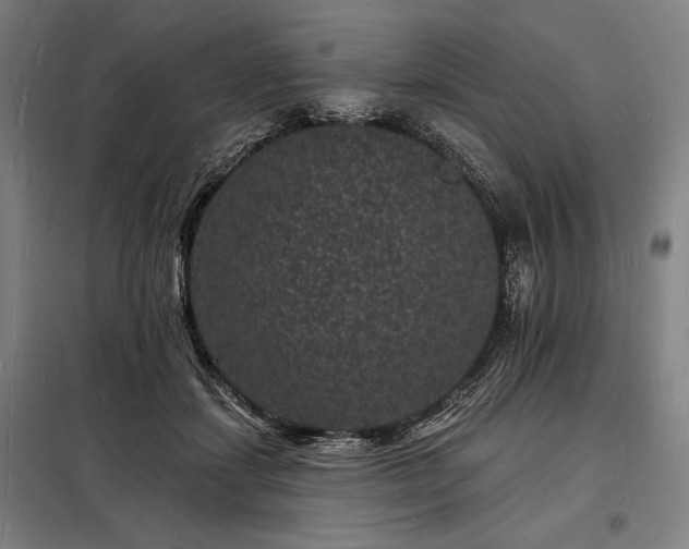X0000098230459200805011302
