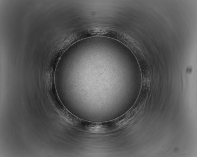 X0000098230460200805011302