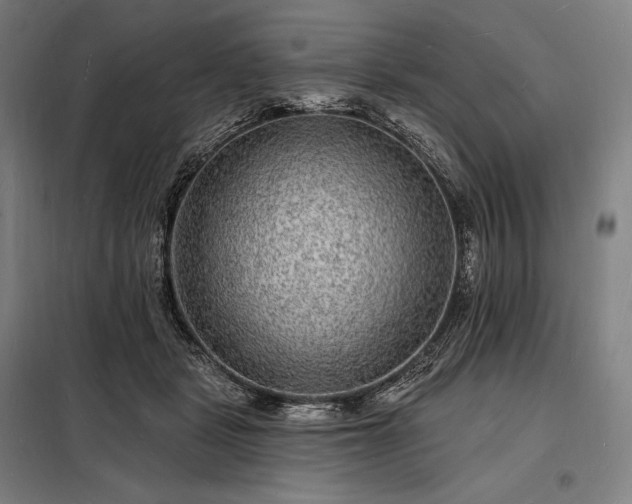 X0000098230461200805011302