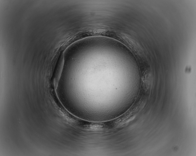 X0000098230462200805011302