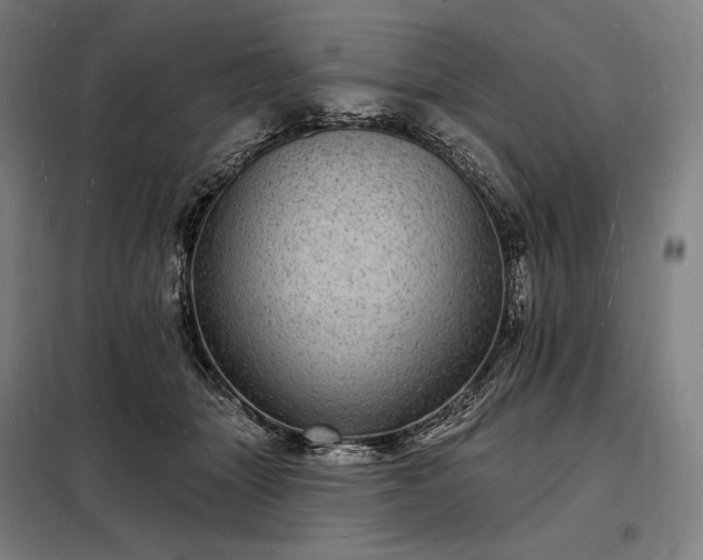 X0000098230463200805011302