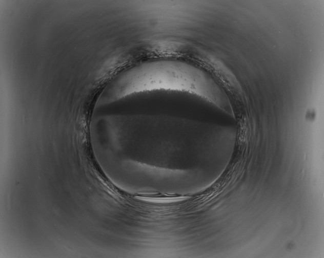 X0000098230465200805011302