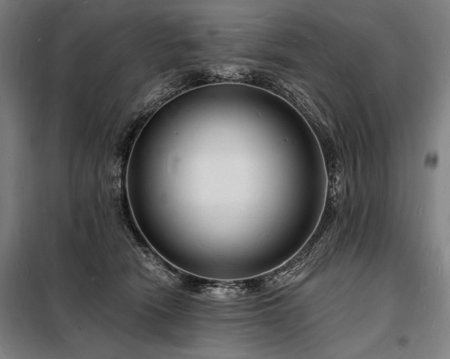 X0000098230466200805011302