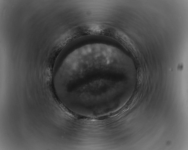 X0000098230467200805011302