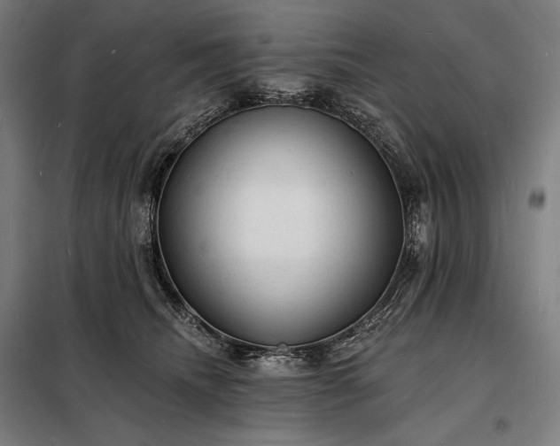 X0000098230468200805011302