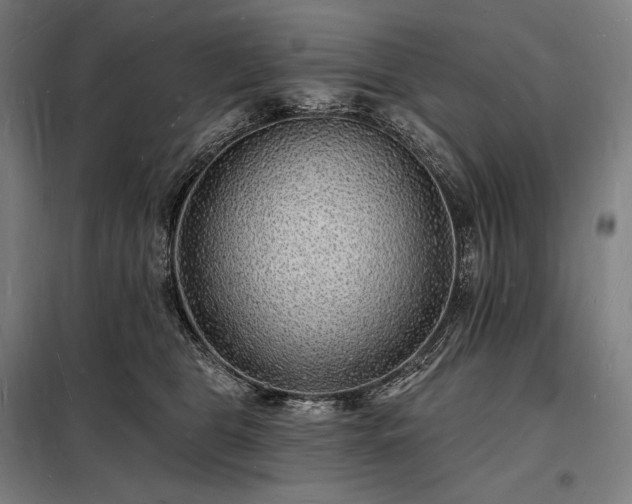 X0000098230469200805011302