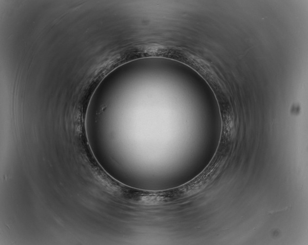 X0000098230470200805011302