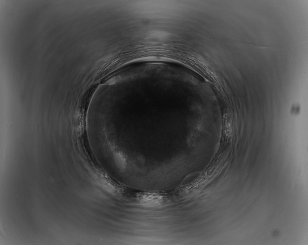 X0000098230471200805011302