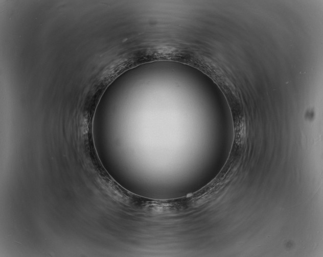 X0000098230472200805011302
