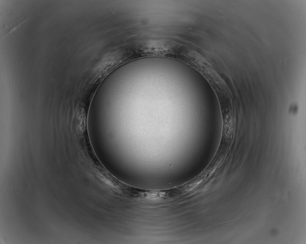 X0000098230474200805011302