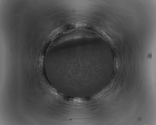 X0000098230475200805011302