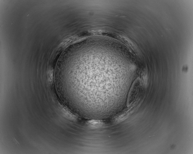 X0000098230477200805011302
