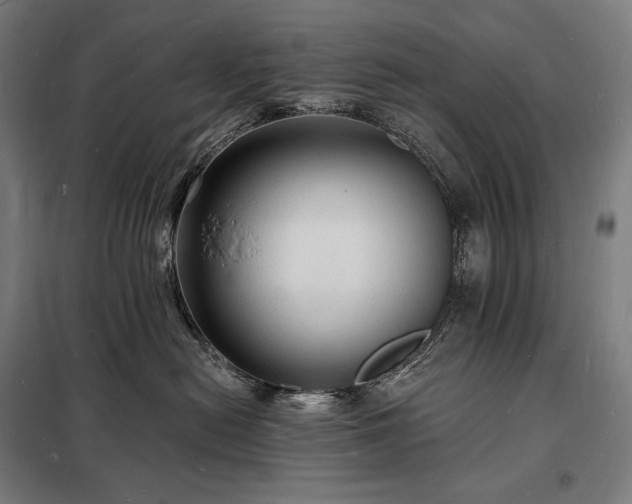 X0000098230478200805011302