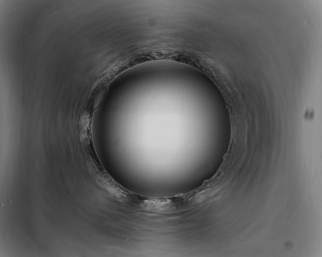 X0000098230480200805011302