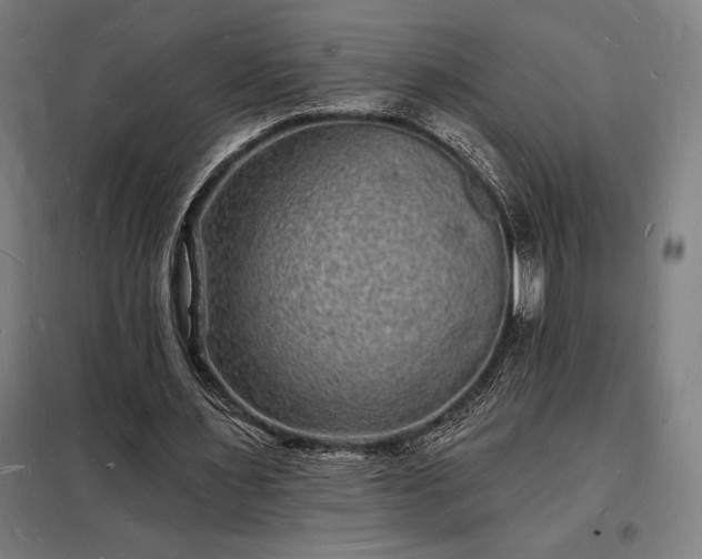 X0000098230483200805011301
