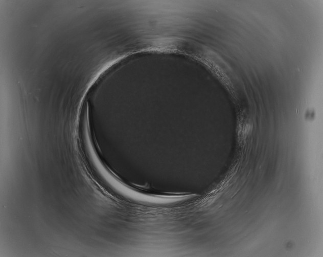 X0000098230484200805011301
