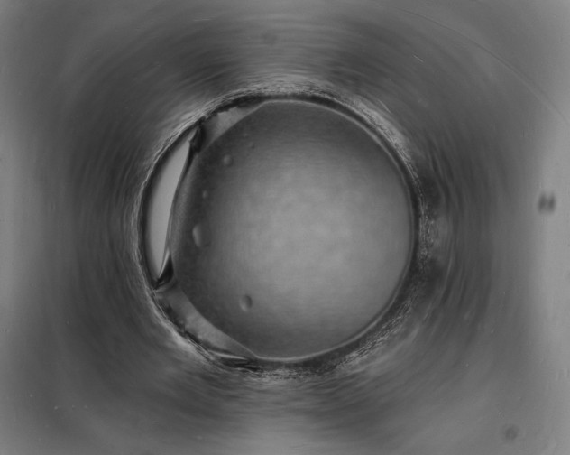 X0000098230485200805011301
