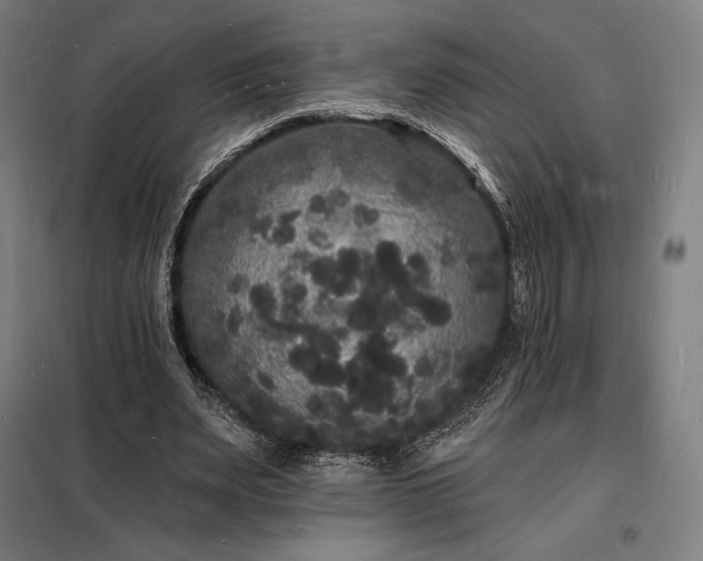 X0000098230487200805011301