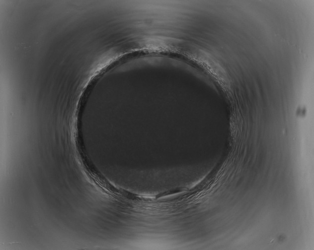X0000098230488200805011301