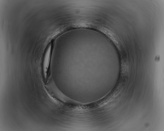 X0000098230489200805011301