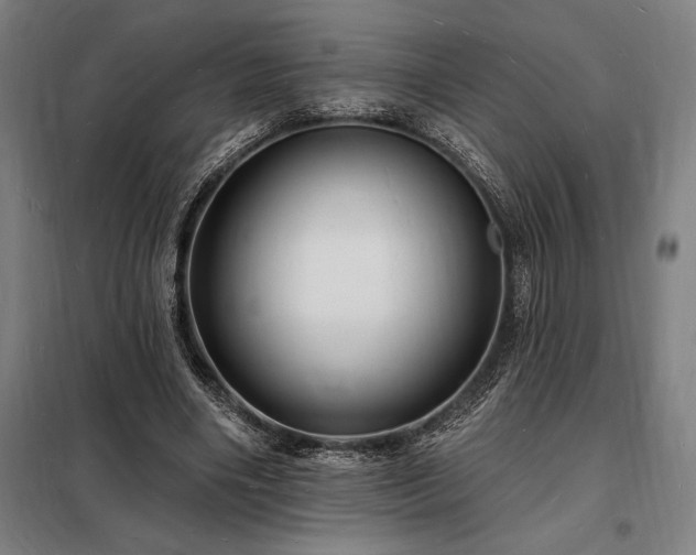 X0000098230490200805011301