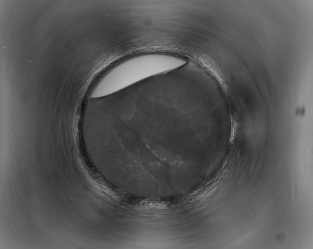 X0000098230491200805011301