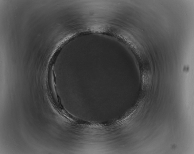 X0000098230492200805011301