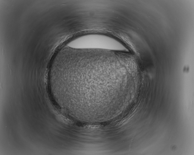 X0000098230495200805011301