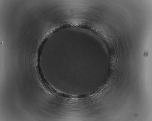X0000098230496200805011301