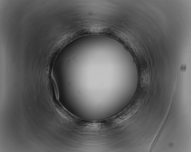 X0000098230497200805011301