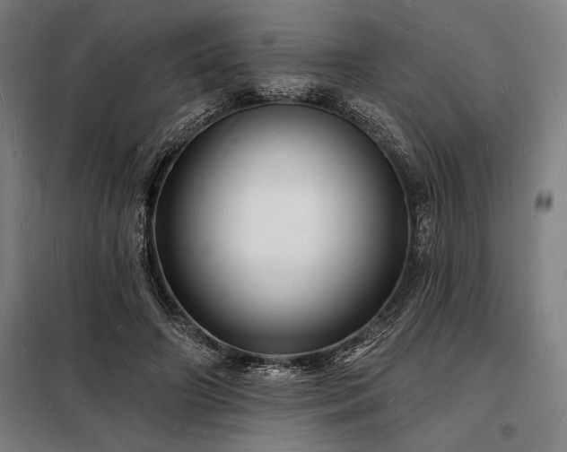 X0000098230498200805011301