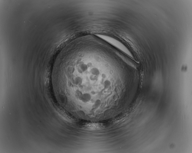X0000098230499200805011301