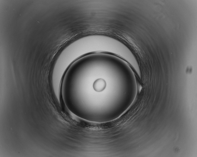 X0000098230500200805011301