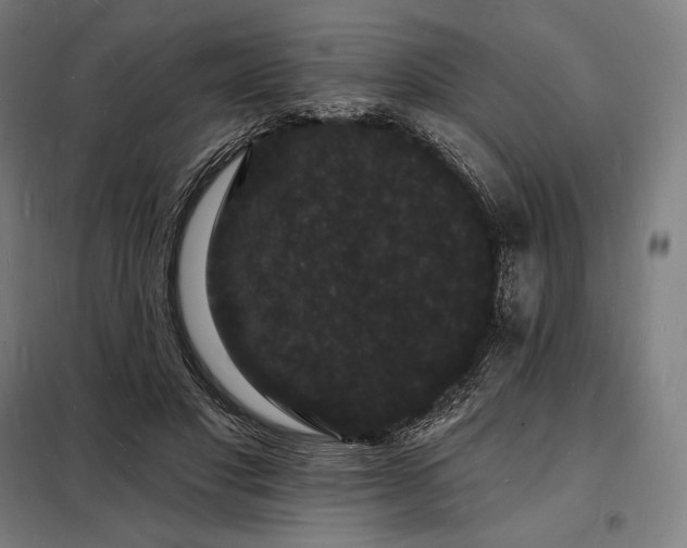 X0000098230501200805011301