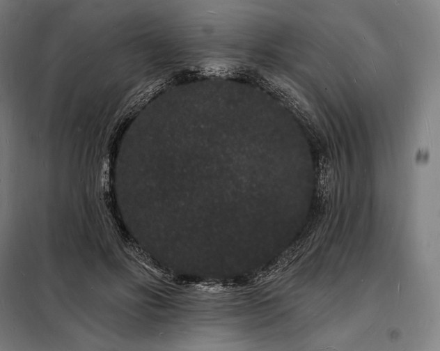 X0000098230502200805011301