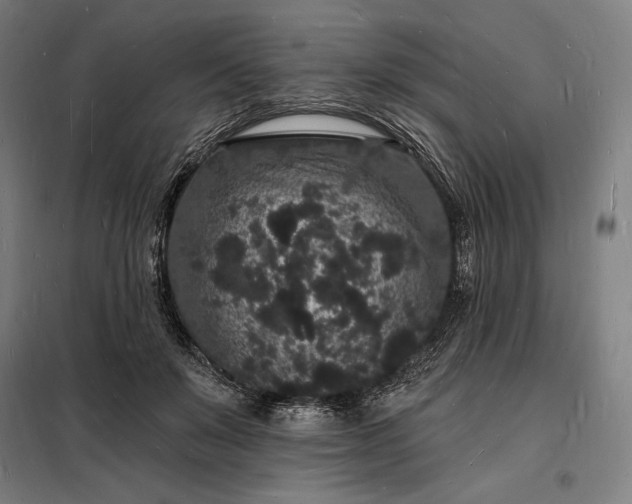 X0000098230503200805011301