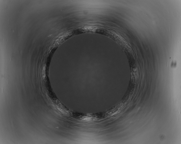 X0000098230504200805011301