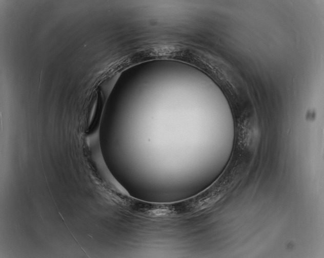 X0000098230505200805011301