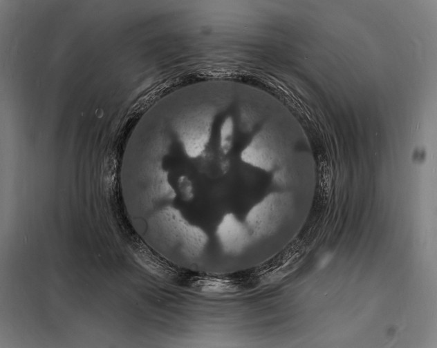 X0000098230507200805011301