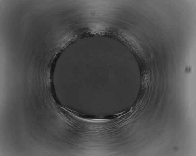 X0000098230508200805011301