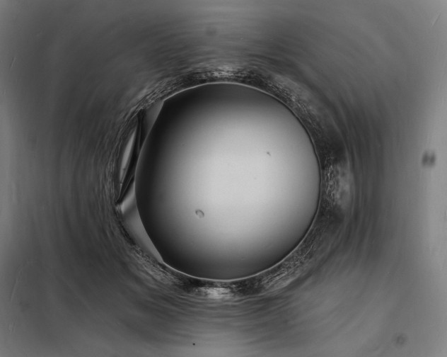 X0000098230509200805011301
