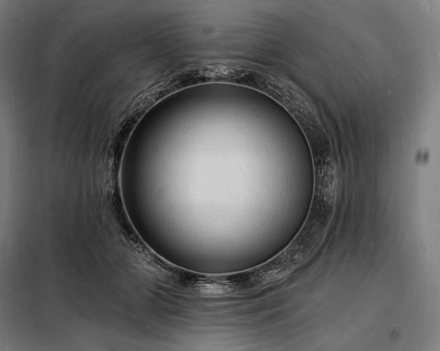 X0000098230510200805011301