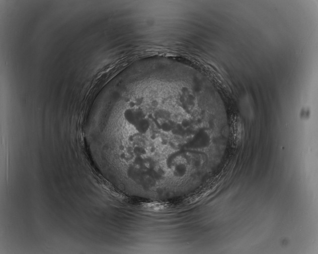 X0000098230511200805011301