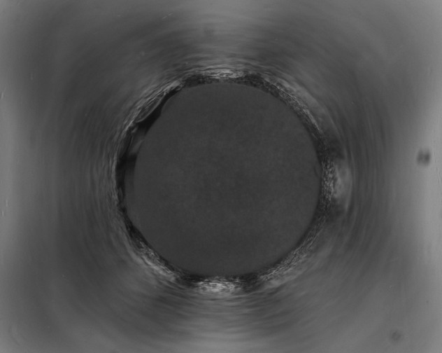 X0000098230512200805011301