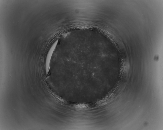 X0000098230513200805011301