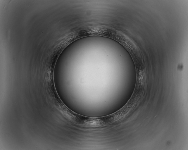 X0000098230514200805011301