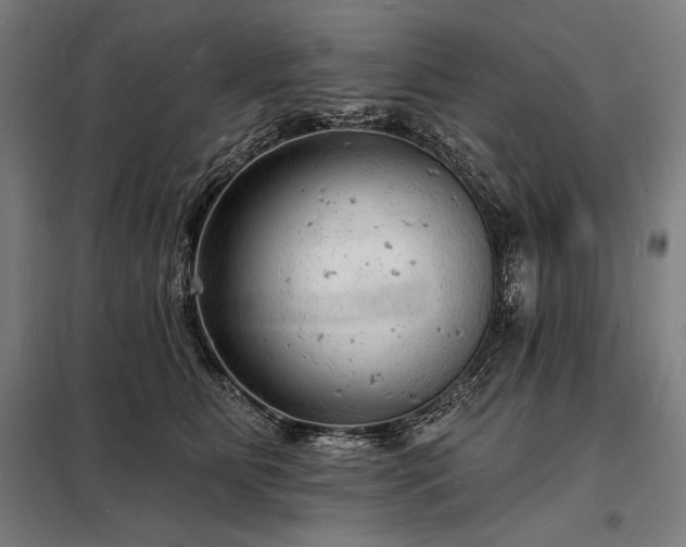 X0000098230515200805011301