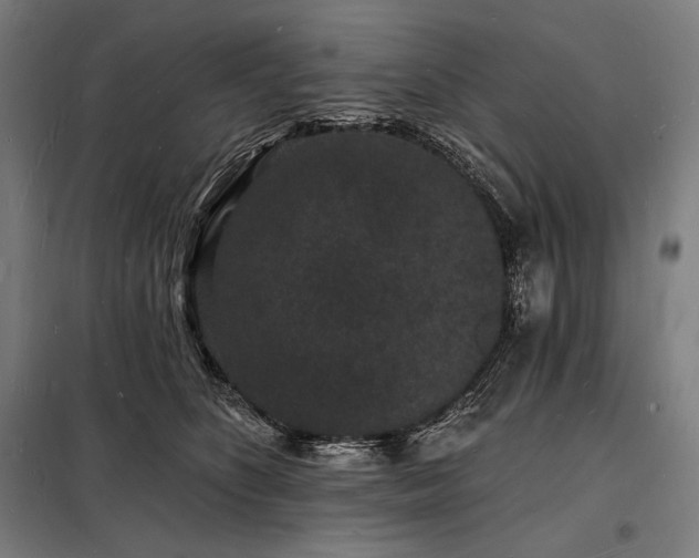 X0000098230516200805011300