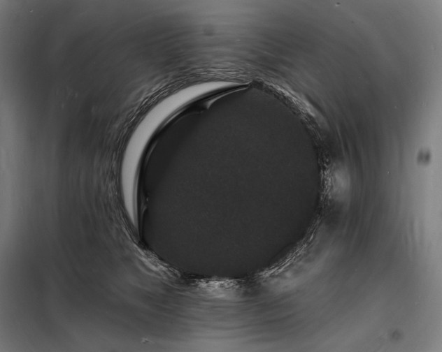 X0000098230517200805011300