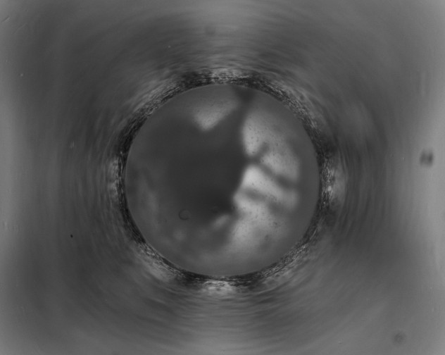 X0000098230519200805011300